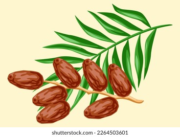 Illustration of dates fruits and palm leaves. Tropical vegetarian food for healthy lifestyle.