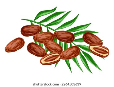 Illustration of dates fruits and palm leaves. Tropical vegetarian food for healthy lifestyle.