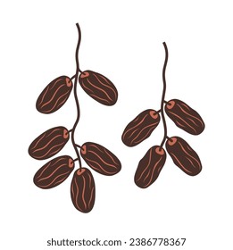 illustration of dates or kurma, a staple food in the Middle East and North Africa.