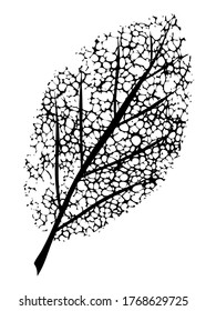 An illustration of a dead leaf symbol of grief