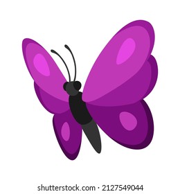 Illustration of decorative butterfly. Color abstract insect.