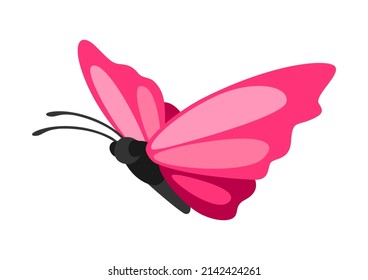 Illustration of decorative butterfly. Color abstract insect.