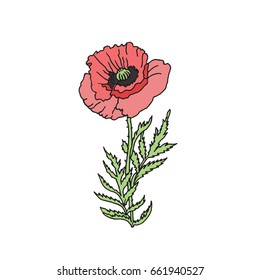 Illustration Decorative Poppy. Vector. Illustration for greeting cards, invitations, and other printing projects.