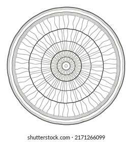 illustration of a decorative wheel