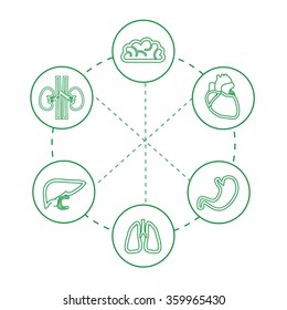 illustration dedicated to anatomy and medicine with silhouettes of human organs.