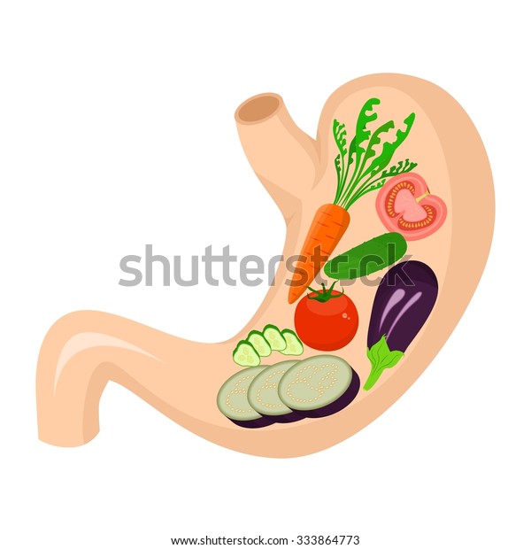 健康に良い食べ物をテーマにしたイラスト 胃の中の野菜 のベクター画像素材 ロイヤリティフリー