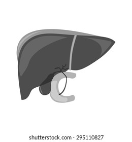 the illustration dedicated to the  human liver.
