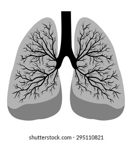 the illustration dedicated to the  human lungs.