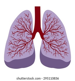 the illustration dedicated to the  human lungs.