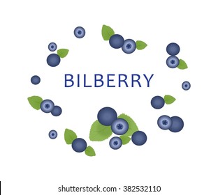 the illustration - dedicated to useful plant - red briar.