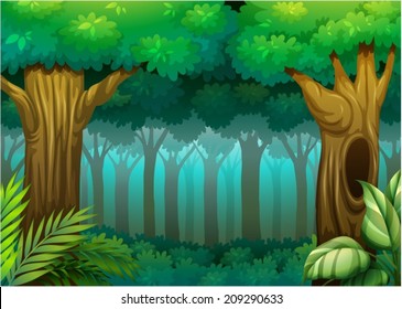 Illustration of a deep forest scene