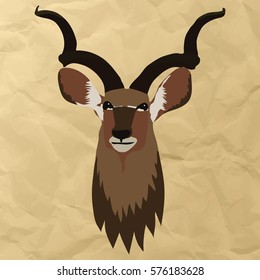 Illustration of deer