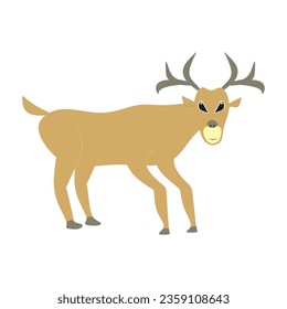 illustration deer animal nature zoo