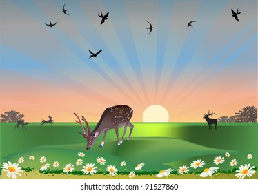 illustration with deer in chamomiles and birds