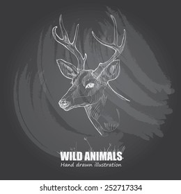 illustration of deer. drawing vector on chalkboard.