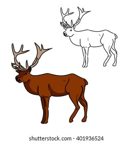 Illustration with deer image and its contour