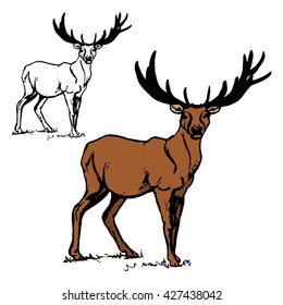 Illustration with deer image and its contour