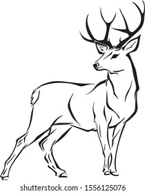 The Illustration Of Deer Line