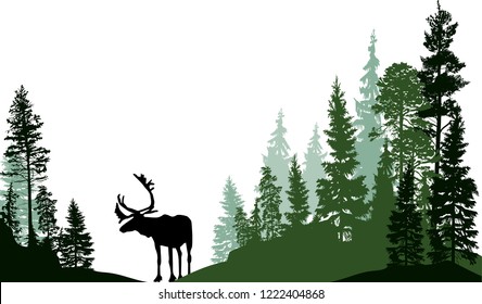 illustration with deer silhouette in forest