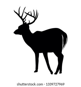 illustration of a deer silhouette in the wild