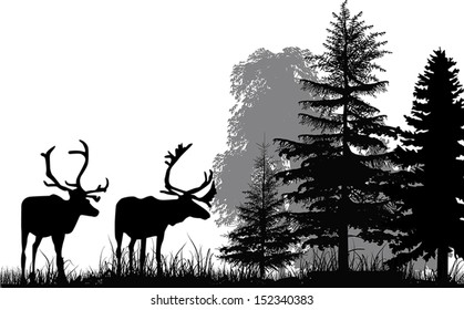 illustration with deer silhouettes in forest isolated on white background