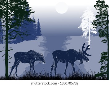 illustration with deer silhouettes in forest at night