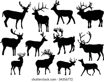 illustration with deer silhouettes isolated on white background