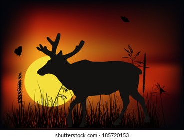 illustration with deer at sunset