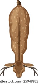 Illustration of a deer from a top perspective