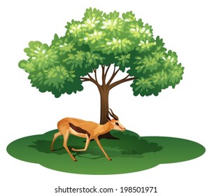 Illustration of a deer under the tree on a white background