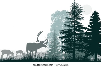 illustration with deers in forest