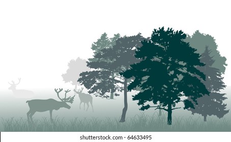 illustration with deers in forest