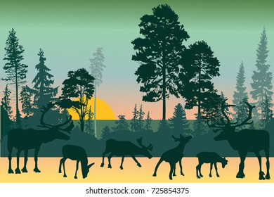 illustration with deers in forest