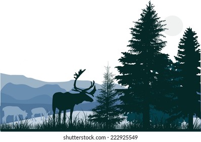 illustration with deers in green forest