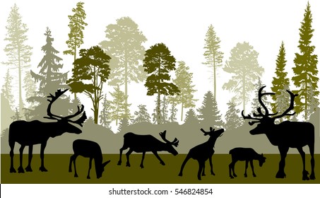 illustration with deers in green forest