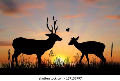 illustration with deers at sunset