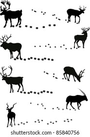 illustration with deers and its tracks isolated on white