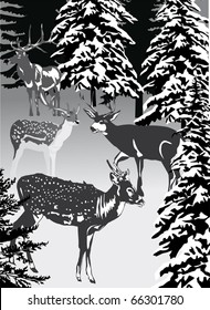 illustration with deers in winter landscape