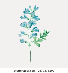 Illustration of a delicate blue flower with green leaves. The blue flower stands out with its soft petals. Green leaves complement the blue flower beautifully. Vintage flower illustration, vector.