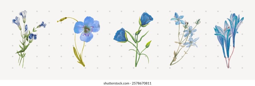 Illustration of delicate blue flowers. Various blue flowers in watercolor style. Blue flowers arranged in a row. Elegant blue flowers on a light background. Nature illustrations, element vector set.