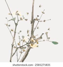 Illustration of delicate branches with white flowers and bees. Simple, elegant floral design with bees. Soft colors highlight flowers and bees on branches. Vintage botanical illustration vector.