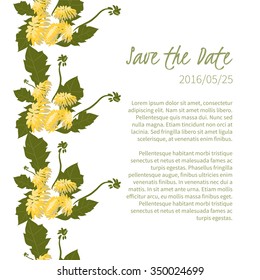 illustration Delicate Dandelion flower. Vector Illustration   