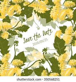 illustration Delicate Dandelion flower. Vector Illustration   