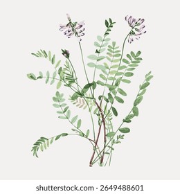 Illustration of delicate green leaves and purple flowers. Botanical art with green leaves and purple flowers. Nature-inspired design with green leaves. Vintage flower illustration vector.