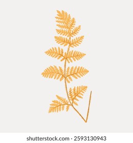 Illustration of a delicate, orange fern leaf. The fern leaf is detailed, showcasing intricate patterns. Orange fern leaf on a light background, highlighting its elegance. Vintage botanical vector.