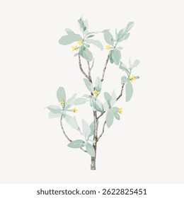 Ilustração de uma planta delicada com folhas verdes claras e pequenas flores amarelas em ramos finos, colocada contra um fundo branco plano. Vetor de ilustração de flor vintage.