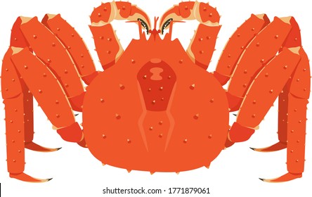 Illustration of delicious boiled Red king crab.