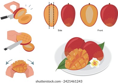 Illustration of the delicious fruit mango and how to eat it