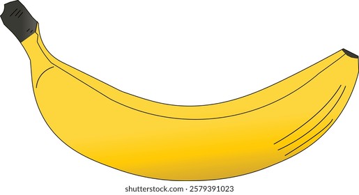 the illustration of Delicious Fruit that called Banana.