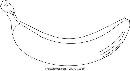 the illustration of Delicious Fruit that called Banana.